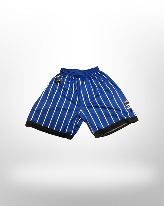 3T Pinstripe Shorts - Blue